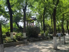 -莲湖公园