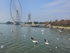 -蠡湖大桥公园