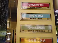 -嘎嘎鸭脑壳(金沙店)