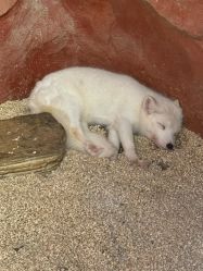 -Zoolung Zoolung动物主题公园(海信广场店)