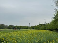 -八卦田遗址公园