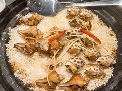 芥香盐焗海双螺-兴仙饭店·闽味海鲜(马尾总店)