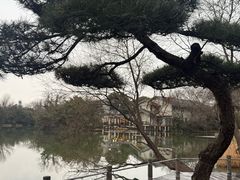 -新荣记(西溪湿地店)