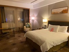 -上海浦东华美达大酒店