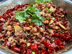 -食神又名厕所兔