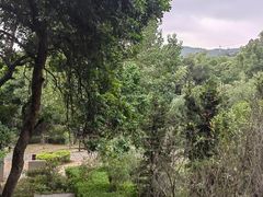 -草庵摩尼教遗址公园