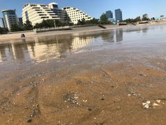 -日照灯塔风景区