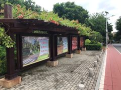 -仙岳公园