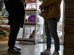 -我爱吾宠宠物美容院(朝阳路店)