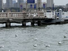 -无锡蠡湖国家湿地公园-蠡园