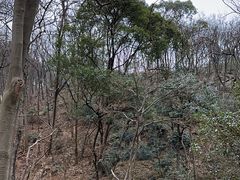 -黔灵山公园