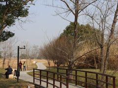 -良渚古城遗址公园