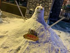 -中旅松花湖滑雪场