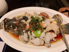 青花椒蒸龙胆鱼-闽和南(深圳万象城店)