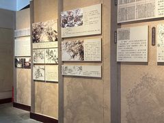 -岳王庙