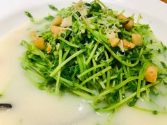 上汤豆苗-中发源·清真餐厅(春风店)