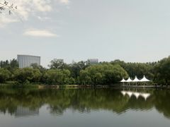 -青城公园