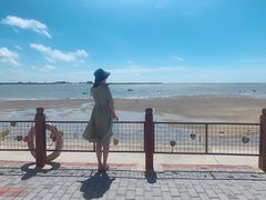 -北海金海湾红树林生态旅游区