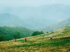 -灵山