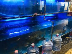 水产区-姜君·千岛湖鱼头馆(浦东大道店)