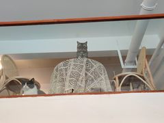 -猫友咖啡店(玉林西路店)