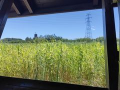 -永定河休闲森林公园