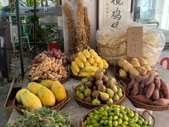 -芭厘·农庄老字号.电饭煲五指毛桃焗鸡