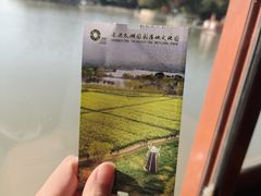 -长兴太湖图影湿地文化园