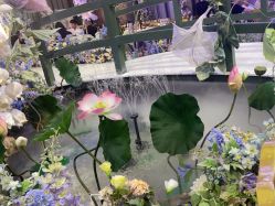 -花嫁丽舍婚礼殿堂(世博江景店)