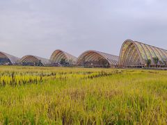 -中国天府农业博览园