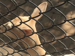 -李想大虾(牡丹路店)