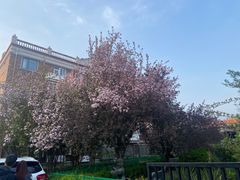 -天津五大道文化旅游区