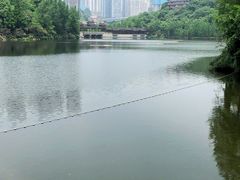 -重庆彩云湖湿地公园