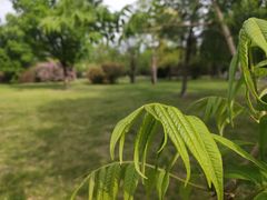 -长春公园(普阳街道)