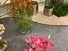 -北京SKP
