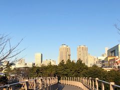 -台场海滨公园船码头