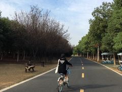 -艾溪湖湿地公园