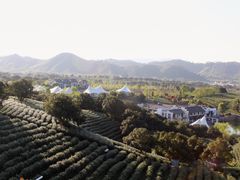 -帐篷客·溪龙茶谷度假酒店