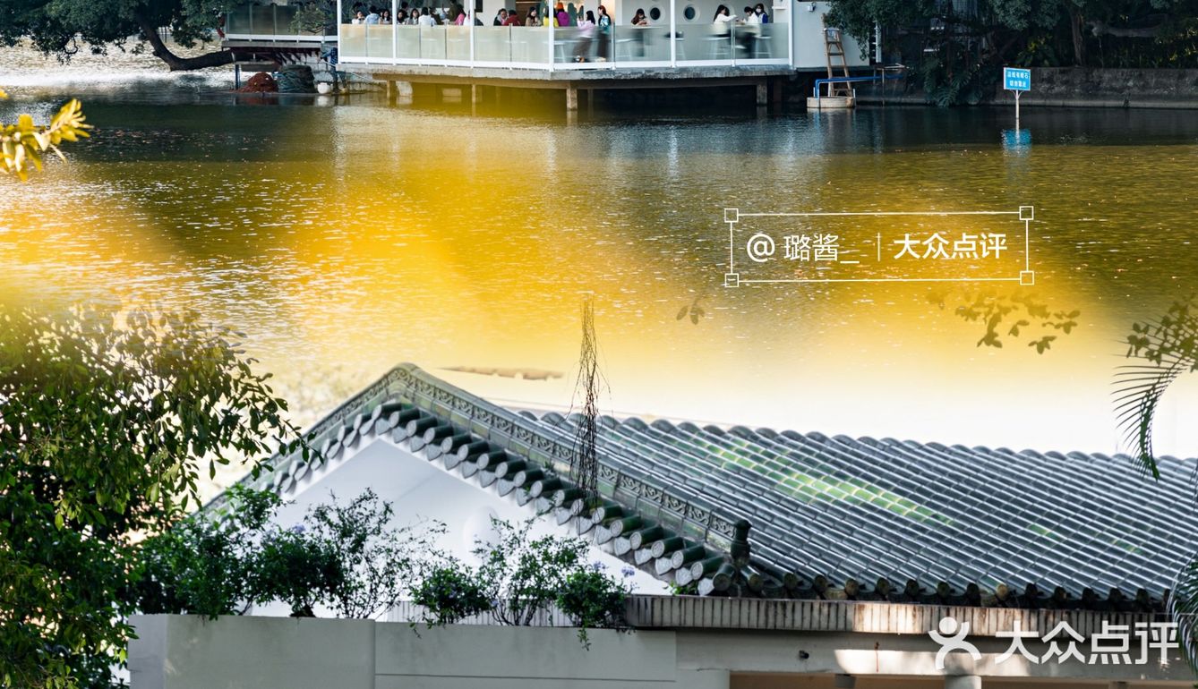 广州落羽杉坠美机位🍁小西湖边的咖啡店