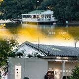 广州落羽杉坠美机位🍁小西湖边的咖啡店