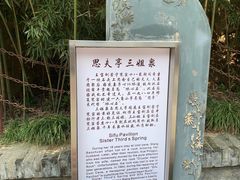 -西安曲江寒窑遗址公园