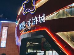 -鹏欣水游城