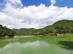 -广州白江湖森林公园