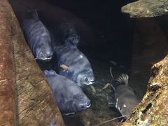 -热带风暴水上乐园