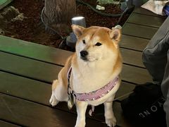 -瑞虹新天地月亮湾