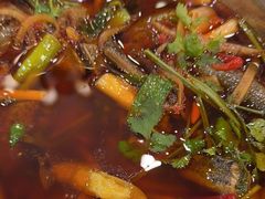 -高坎一品甲鱼庄(两河店)