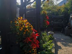 -慢丽江·云南野生菌土鸡锅(西山店)