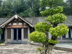 -龙头寺公园