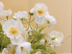 -莫奈花园法式蛋糕