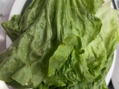 -龍歌自助小火锅(雨花台江南虹悦城店)